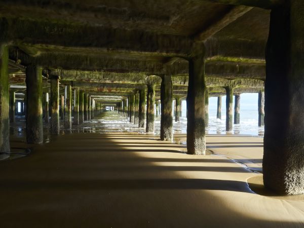 Concrete Pier Repair in Fremont